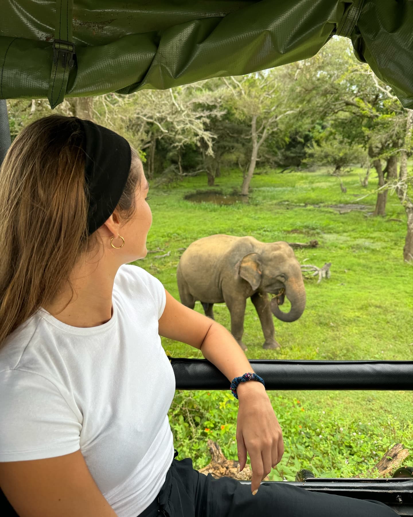 🐘 Yala National Park – Into the Wild